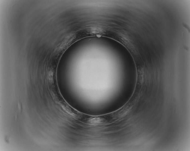 X0000101710269200807101612