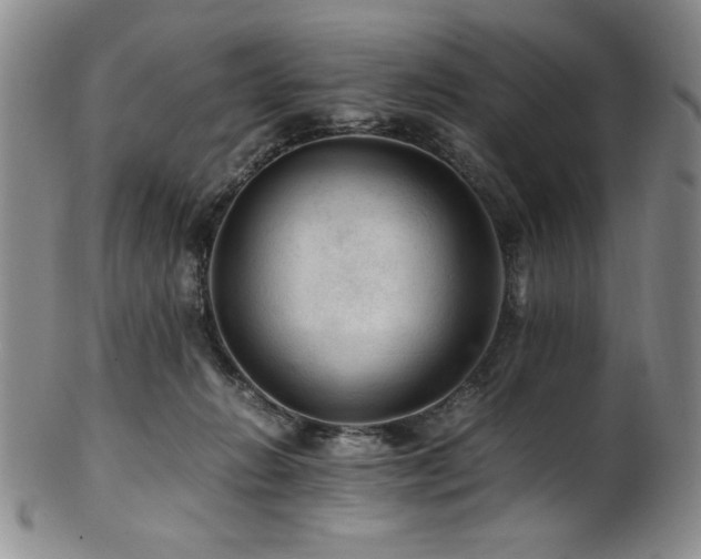X0000101710270200807101612
