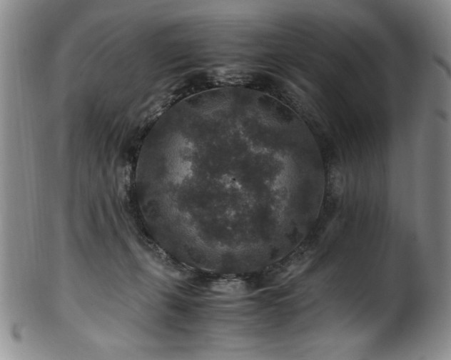 X0000101710271200807101612