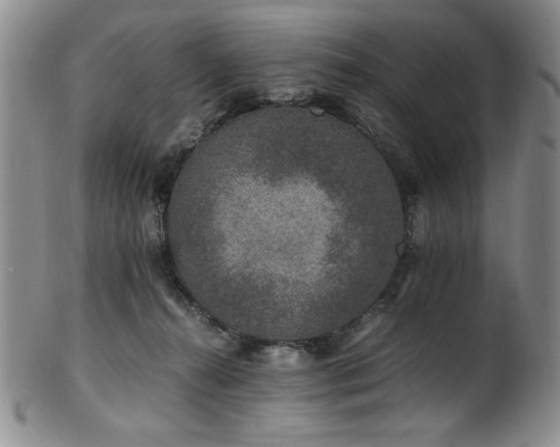 X0000101710272200807101612