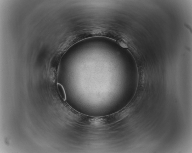 X0000101710273200807101612