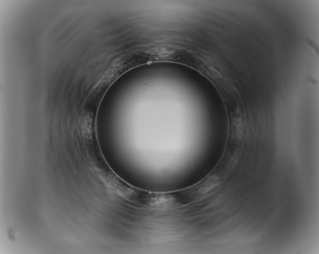X0000101710274200807101612