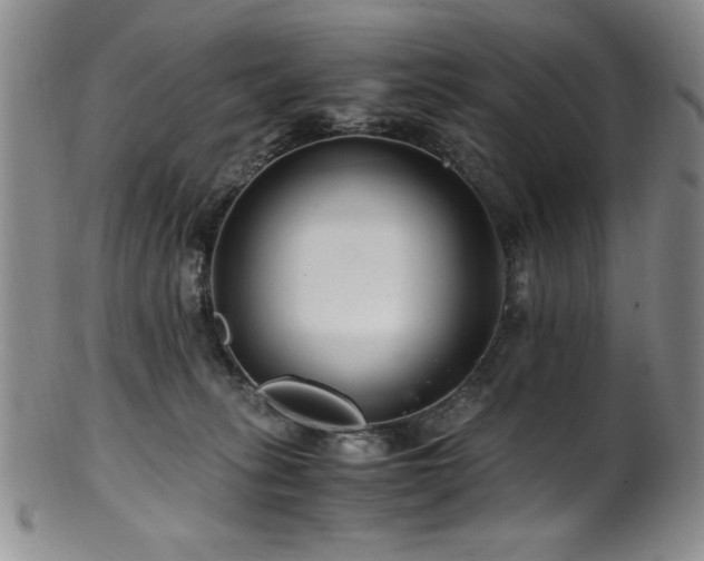 X0000101710275200807101612