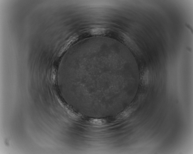 X0000101710277200807101612