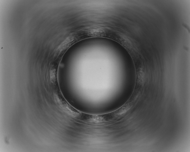 X0000101710278200807101612