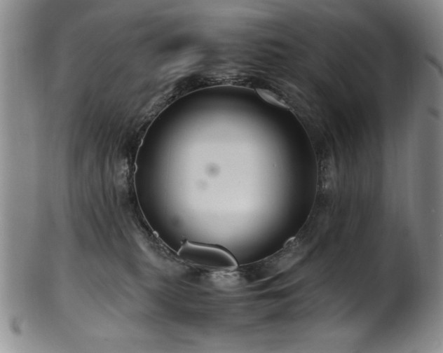 X0000101710279200807101612