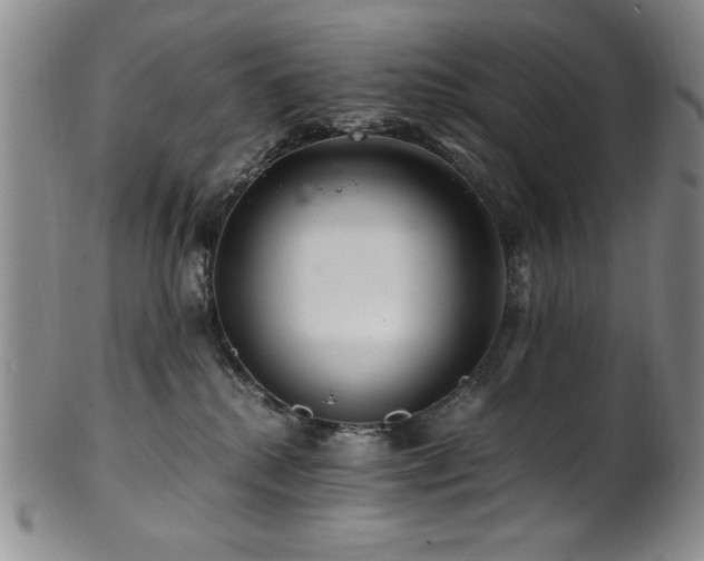 X0000101710280200807101612