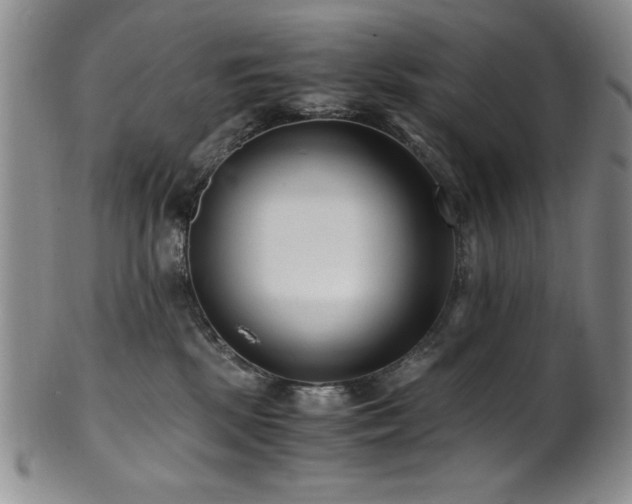 X0000101710281200807101612