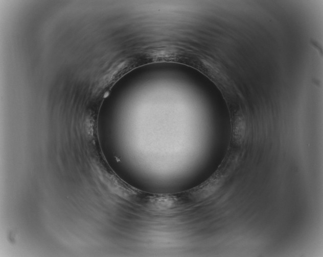 X0000101710282200807101612