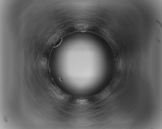 X0000101710283200807101612