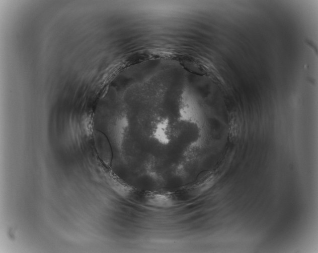 X0000101710285200807101612