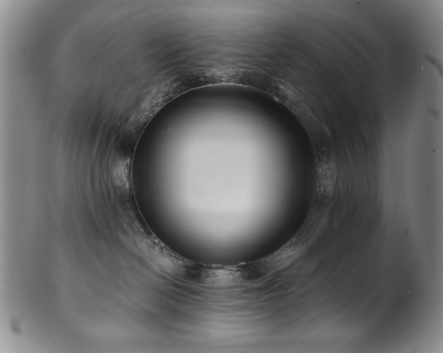 X0000101710286200807101612