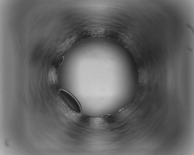 X0000101710287200807101612