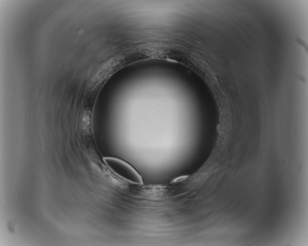 X0000101710288200807101612