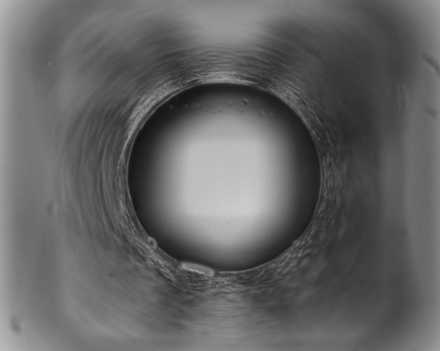 X0000101710289200807101611