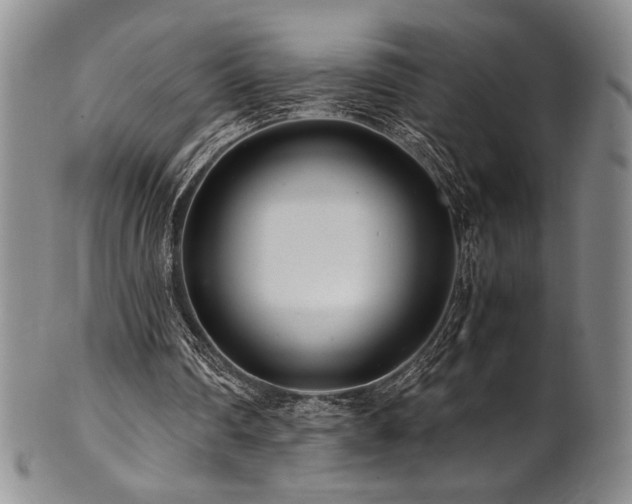 X0000101710290200807101611