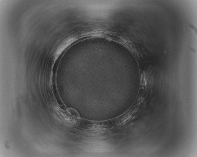X0000101710292200807101611