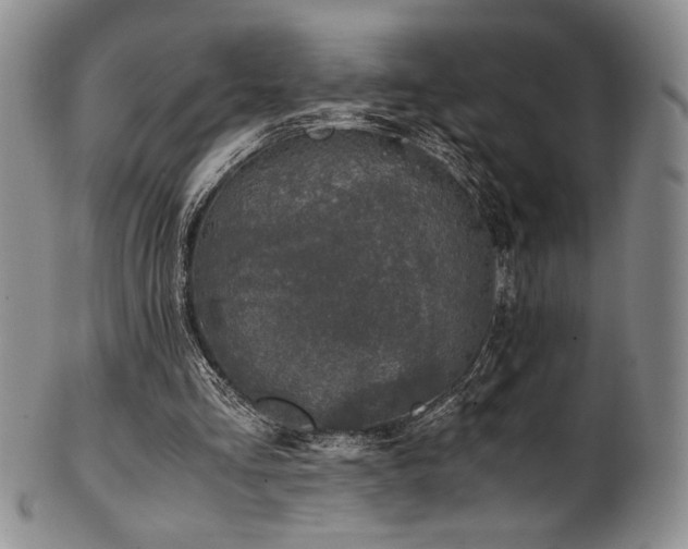 X0000101710293200807101611