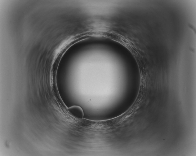 X0000101710294200807101611