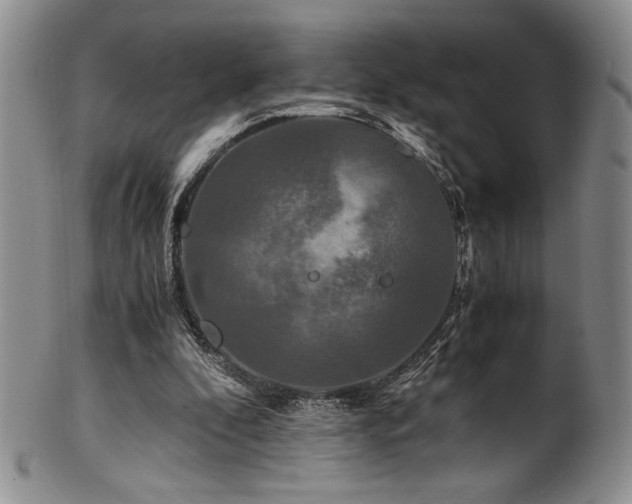 X0000101710296200807101611