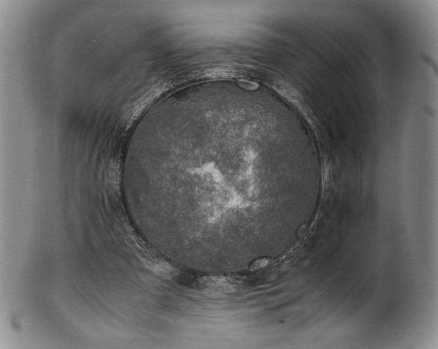 X0000101710297200807101611