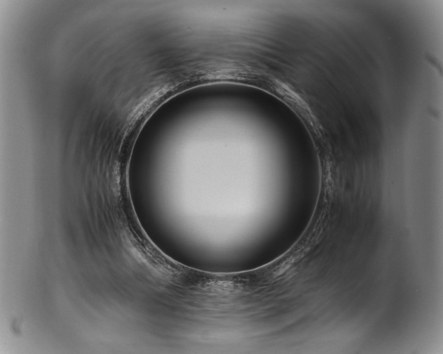 X0000101710298200807101611