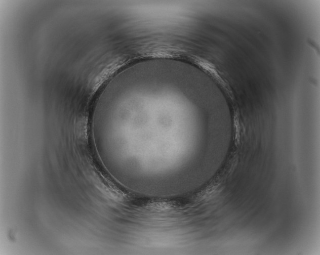 X0000101710299200807101611