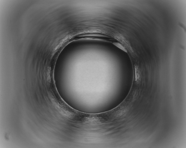 X0000101710300200807101611