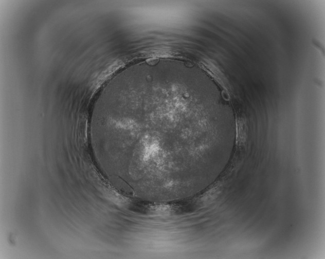 X0000101710301200807101611