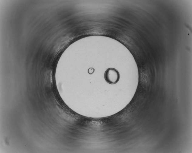 X0000101710302200807101611