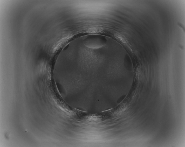 X0000101710303200807101611