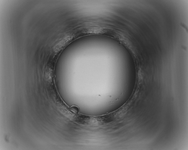 X0000101710305200807101611