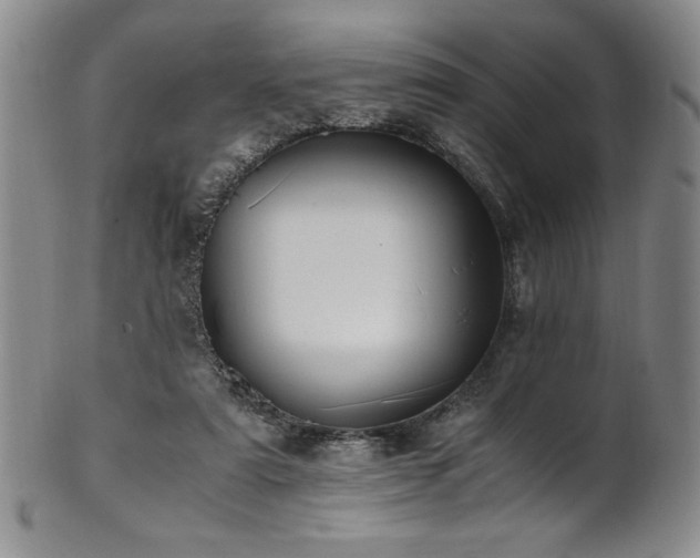 X0000101710307200807101611