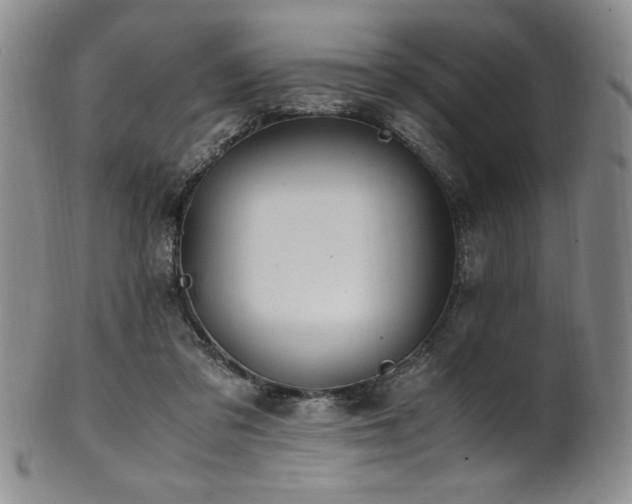 X0000101710309200807101611