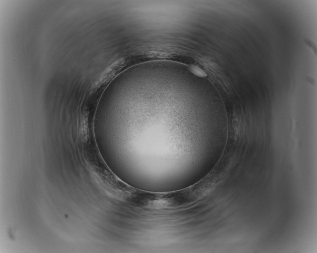 X0000101710312200807101611
