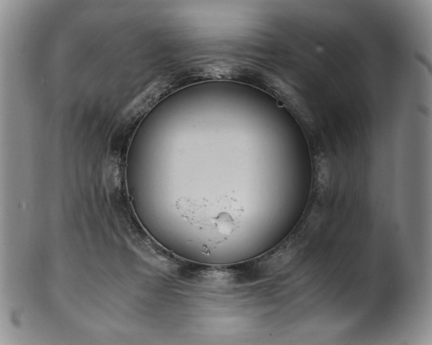 X0000101710313200807101611