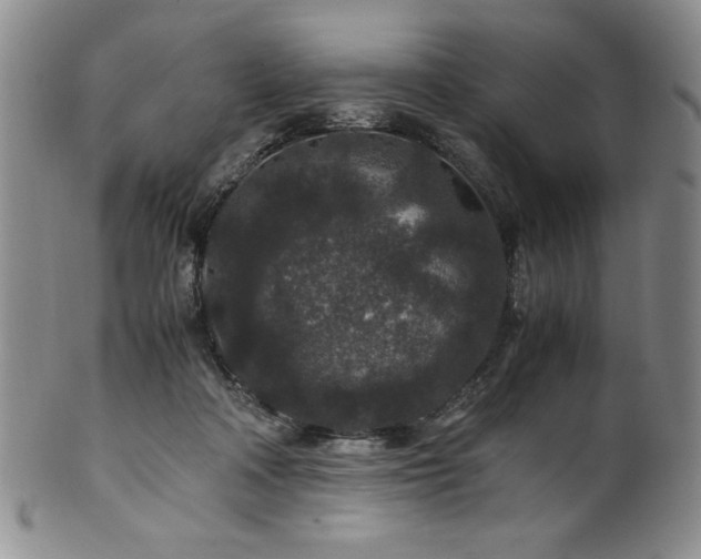 X0000101710314200807101611