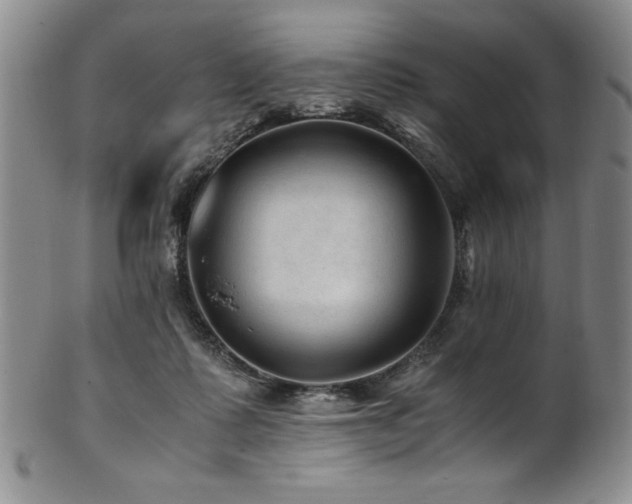 X0000101710315200807101611