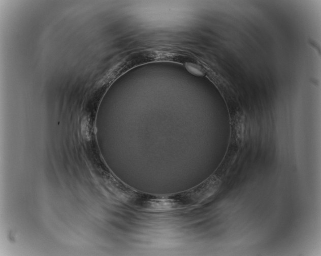 X0000101710316200807101611