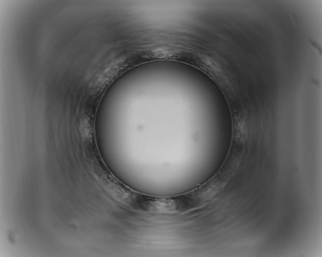 X0000101710317200807101611