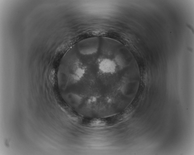 X0000101710319200807101611