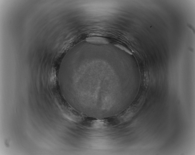X0000101710320200807101611