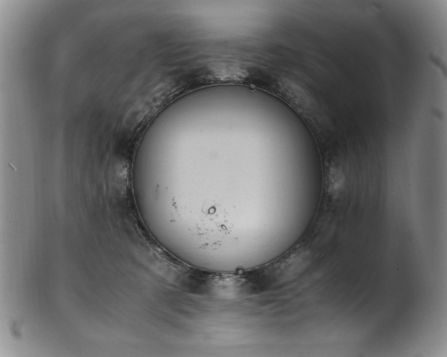 X0000101710321200807101611