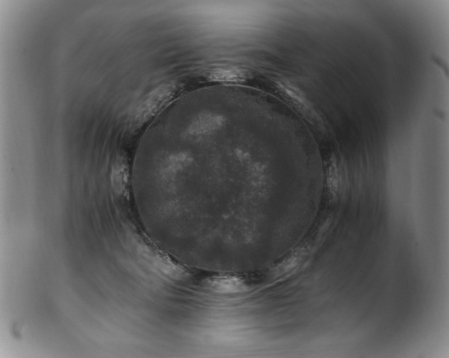 X0000101710322200807101611