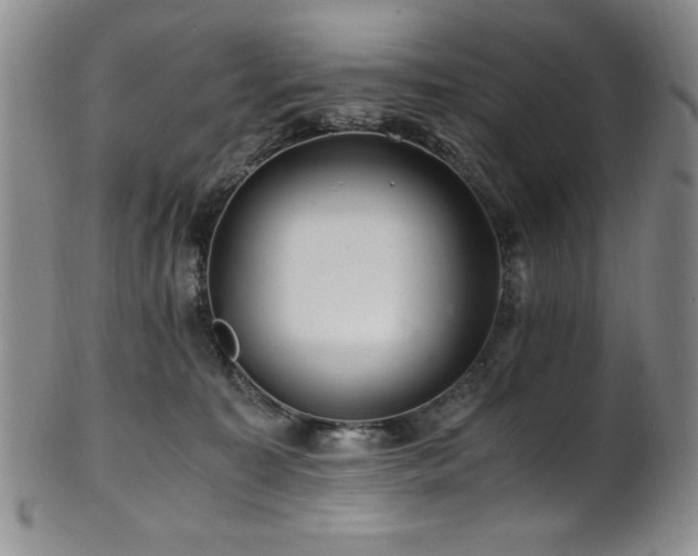 X0000101710323200807101611