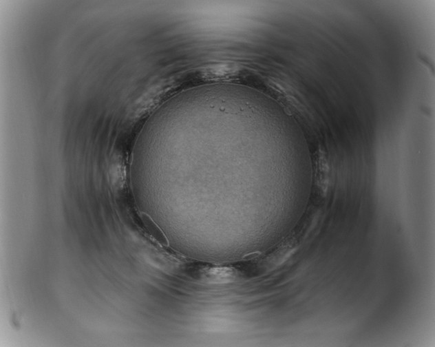 X0000101710324200807101611