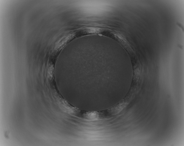 X0000101710325200807101611
