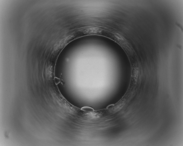 X0000101710326200807101611