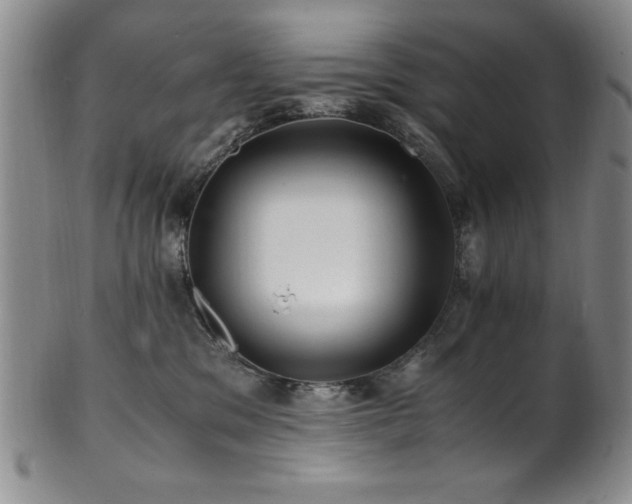 X0000101710329200807101611