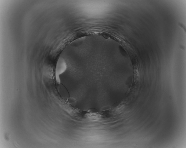 X0000101710331200807101611